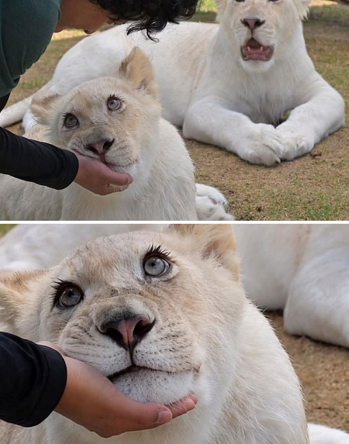 Wait, These Animal Pics Are Way Too Good To Miss (37 Fresh Shots)