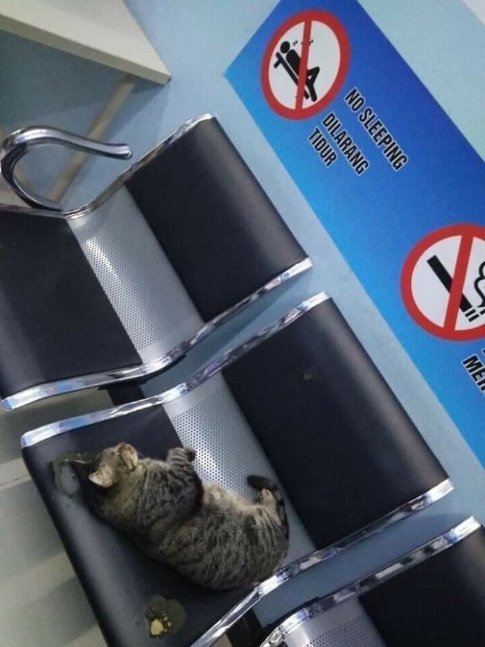 Wait, These Animal Pics Are Way Too Good To Miss (37 Fresh Shots)