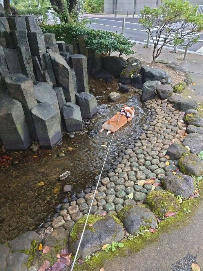 Wait, These Animal Pics Are Way Too Good To Miss (37 Fresh Shots)