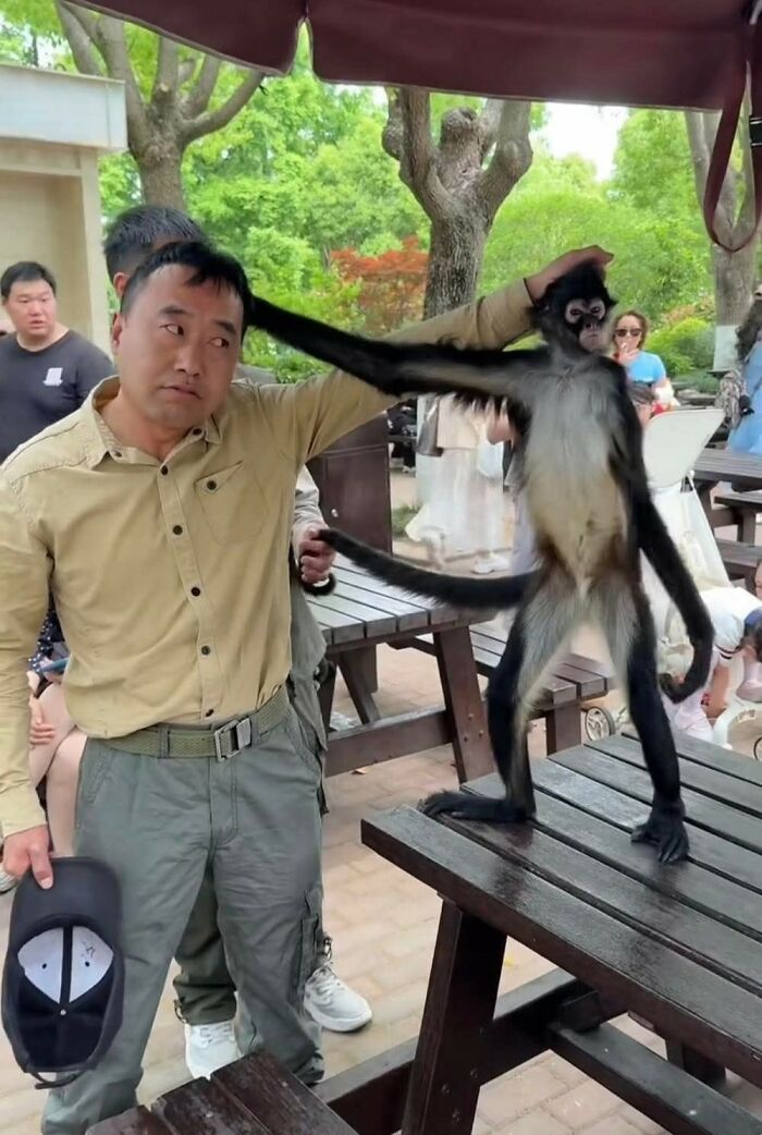 Wait, These Animal Pics Are Way Too Good To Miss (37 Fresh Shots)