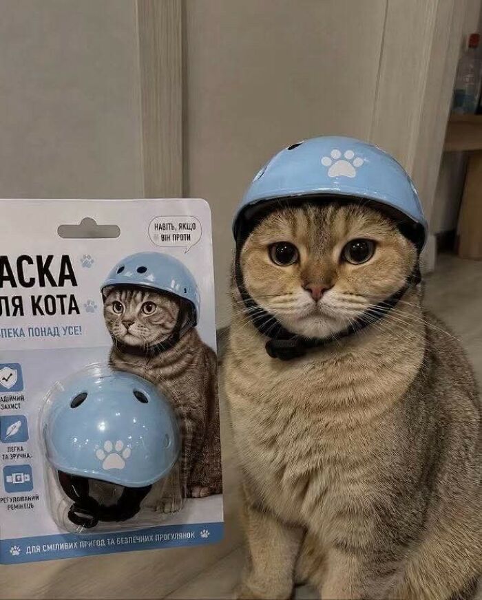 Wait, These Animal Pics Are Way Too Good To Miss (37 Fresh Shots)