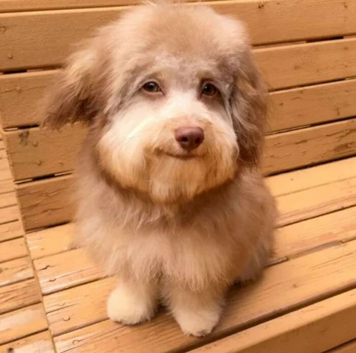 Wait, These Animal Pics Are Way Too Good To Miss (37 Fresh Shots)