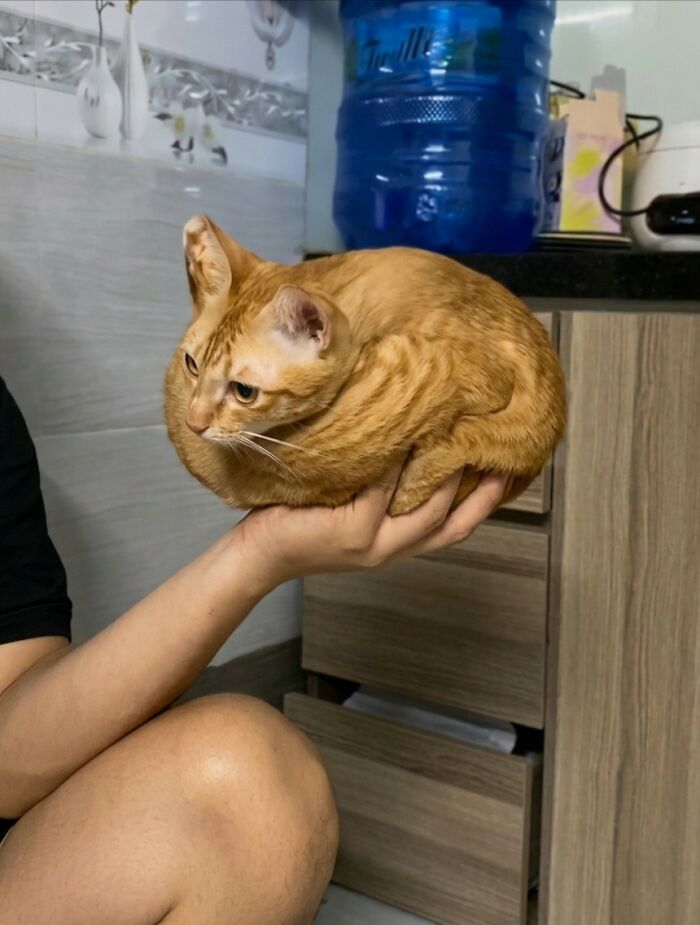 Wait, These Animal Pics Are Way Too Good To Miss (37 Fresh Shots)
