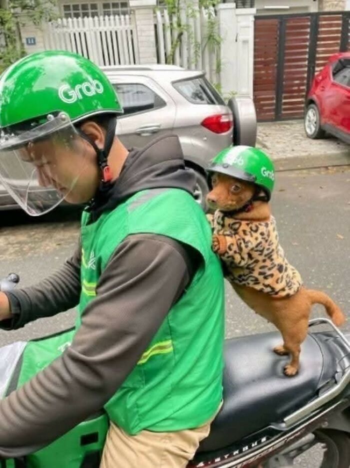 Wait, These Animal Pics Are Way Too Good To Miss (37 Fresh Shots)