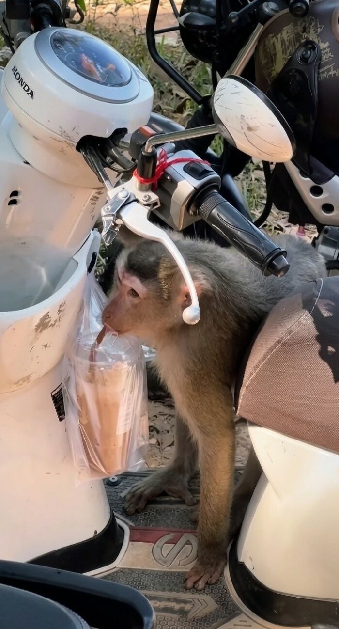 Wait, These Animal Pics Are Way Too Good To Miss (37 Fresh Shots)