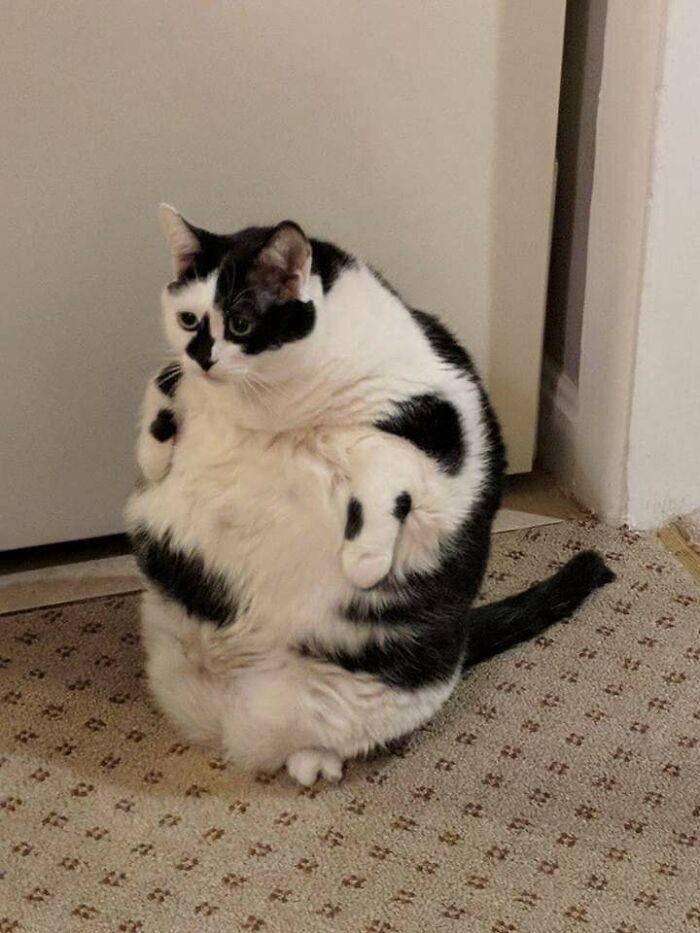 Wait, These Animal Pics Are Way Too Good To Miss (37 Fresh Shots)