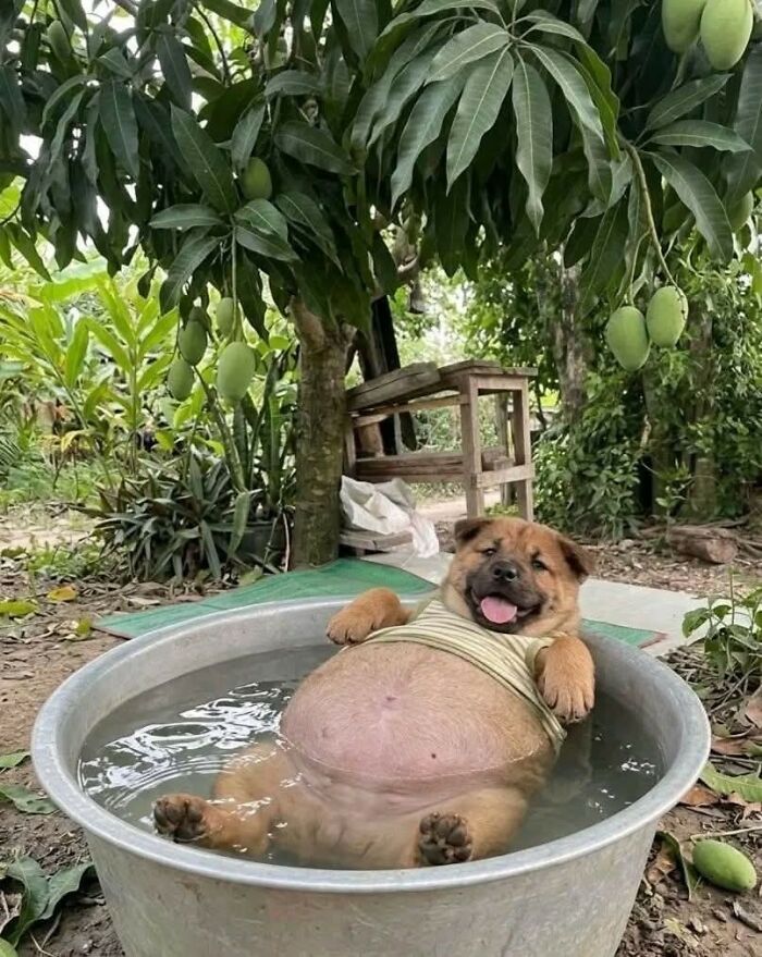 Wait, These Animal Pics Are Way Too Good To Miss (37 Fresh Shots)