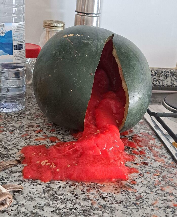The Kitchen Fails That Will Make You Glad You Don’t Cook