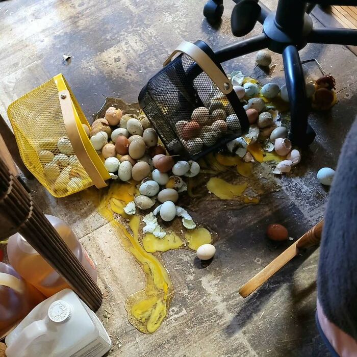 The Kitchen Fails That Will Make You Glad You Don’t Cook