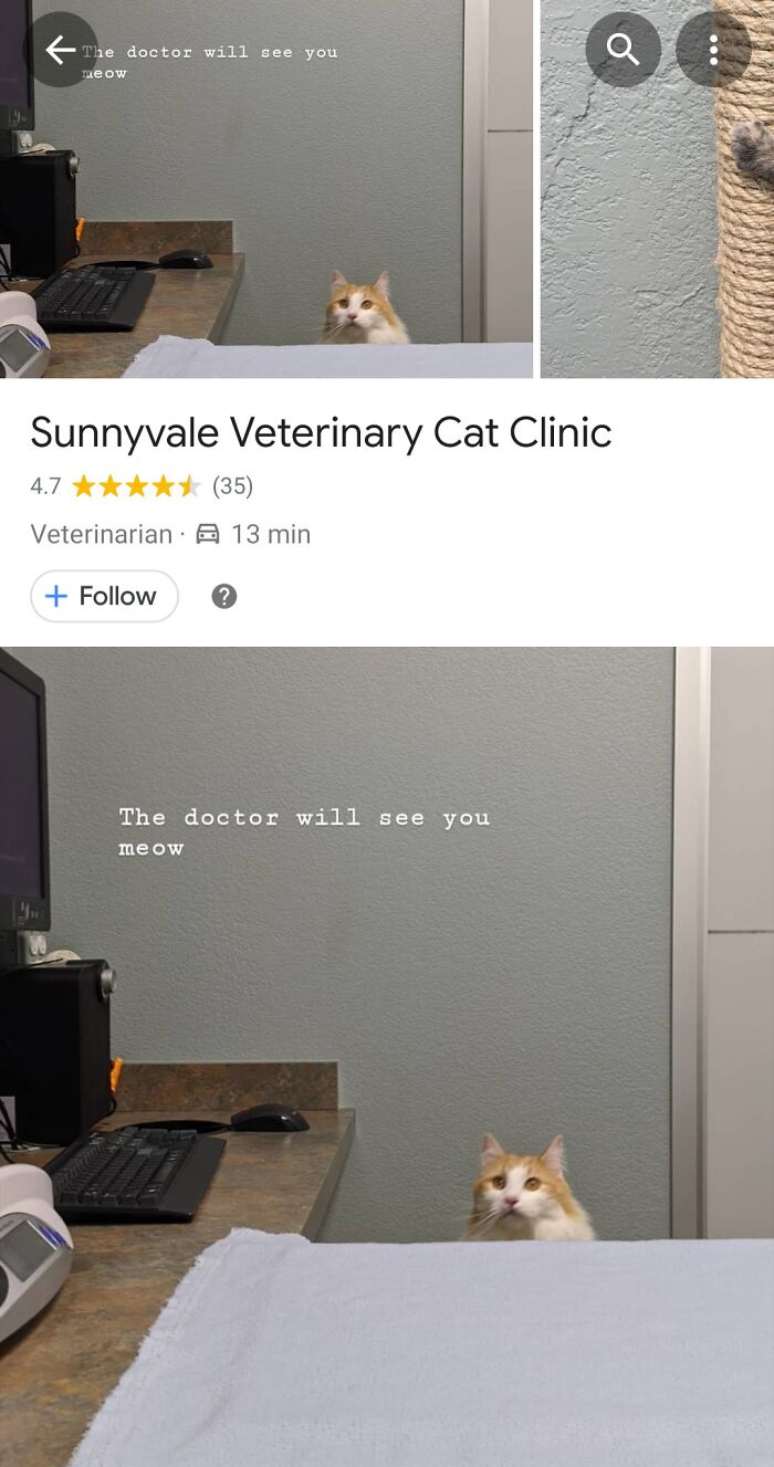 Google Gave This Vet’s Photo A Thumbs Up