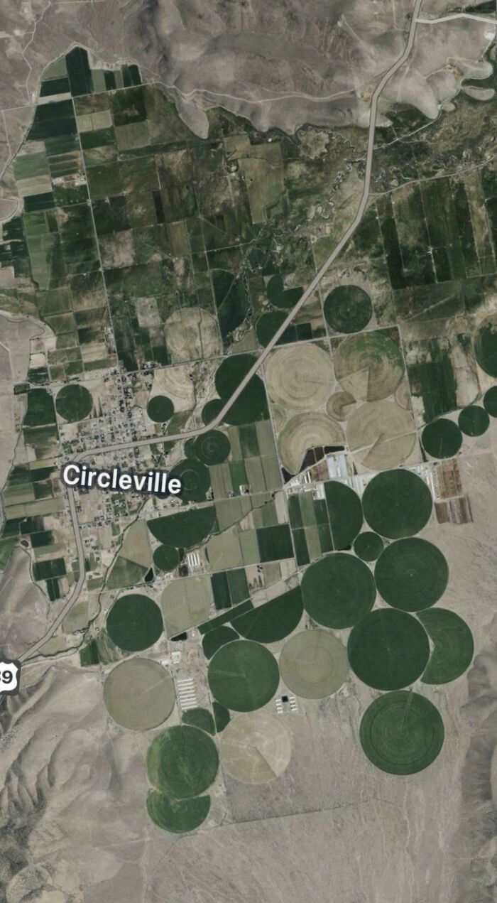 Google Maps Caught The Weirdest Things Ever—No Joke!
