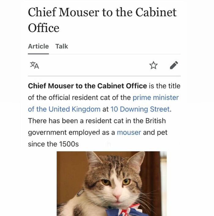 Wait, They Actually Dug Up THESE Wild Animal Facts From Wikipedia?!