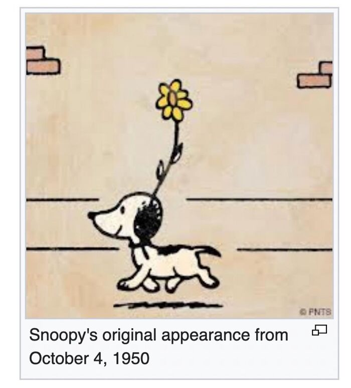 Wait, They Actually Dug Up THESE Wild Animal Facts From Wikipedia?!