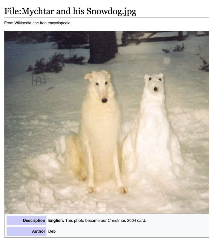 Wait, They Actually Dug Up THESE Wild Animal Facts From Wikipedia?!