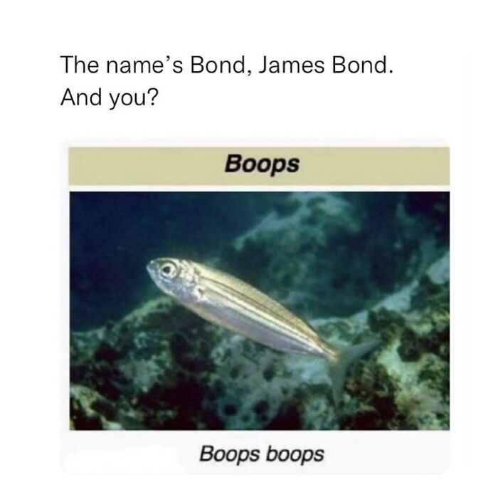 Wait, They Actually Dug Up THESE Wild Animal Facts From Wikipedia?!