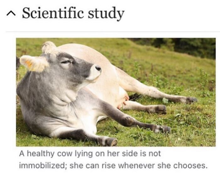 Wait, They Actually Dug Up THESE Wild Animal Facts From Wikipedia?!