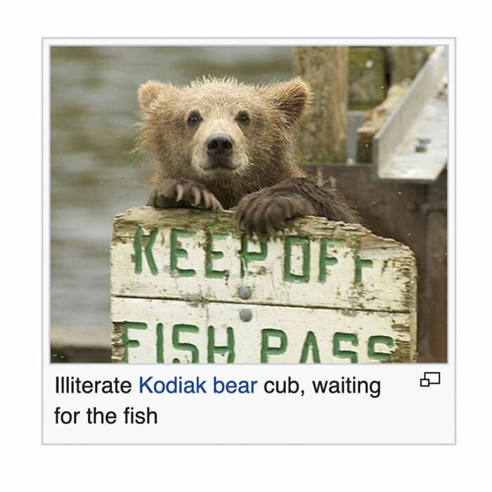 Wait, They Actually Dug Up THESE Wild Animal Facts From Wikipedia?!