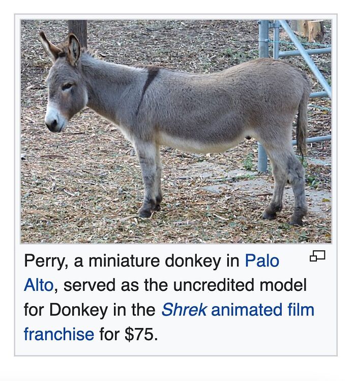 Wait, They Actually Dug Up THESE Wild Animal Facts From Wikipedia?!