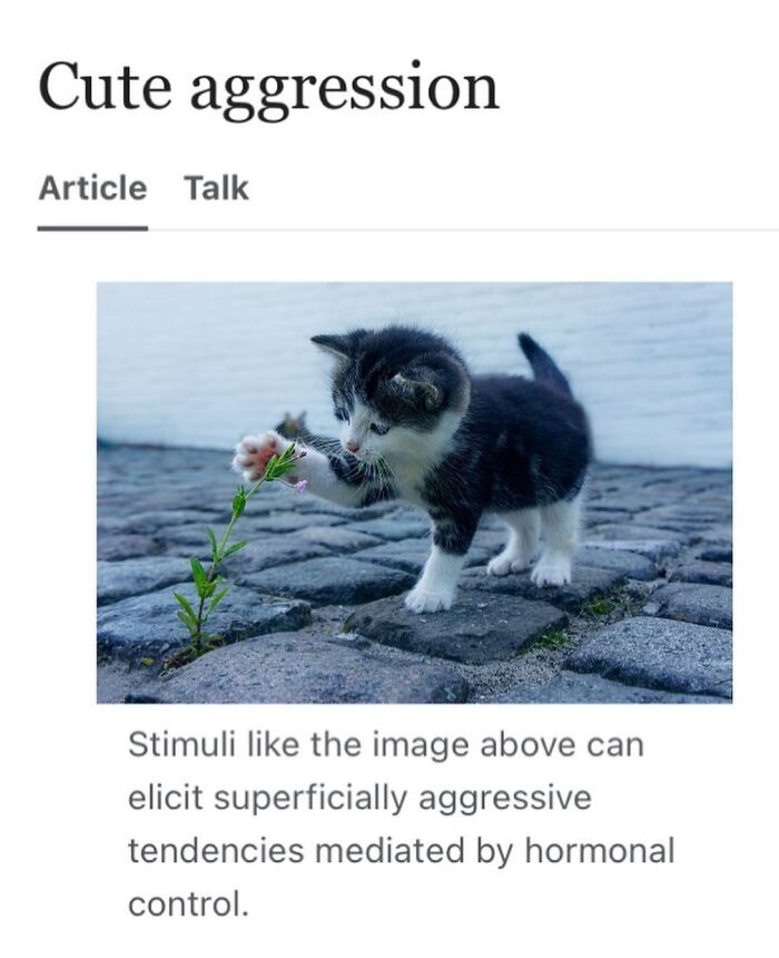 Wait, They Actually Dug Up THESE Wild Animal Facts From Wikipedia?!