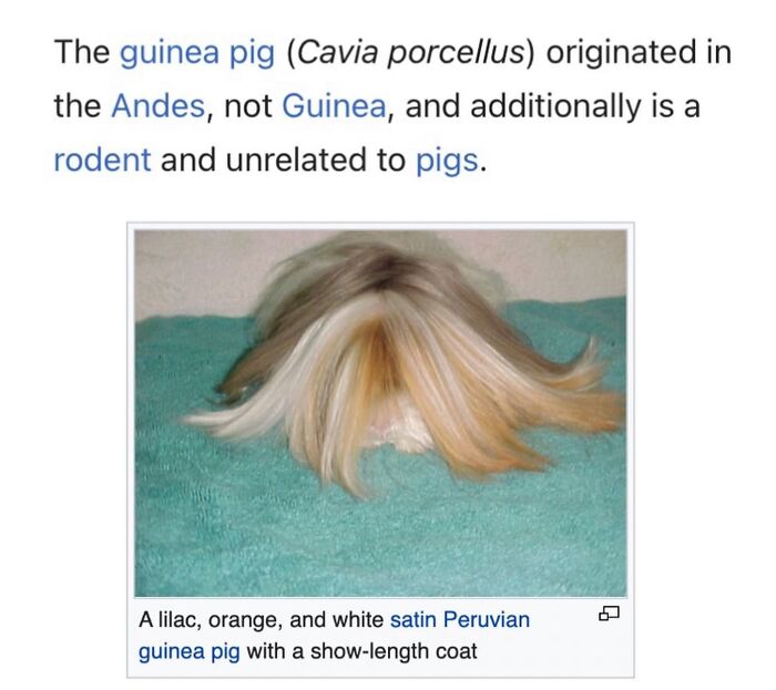 Wait, They Actually Dug Up THESE Wild Animal Facts From Wikipedia?!