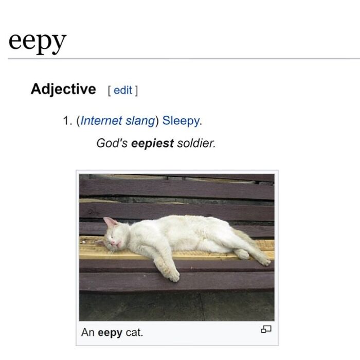 Wait, They Actually Dug Up THESE Wild Animal Facts From Wikipedia?!