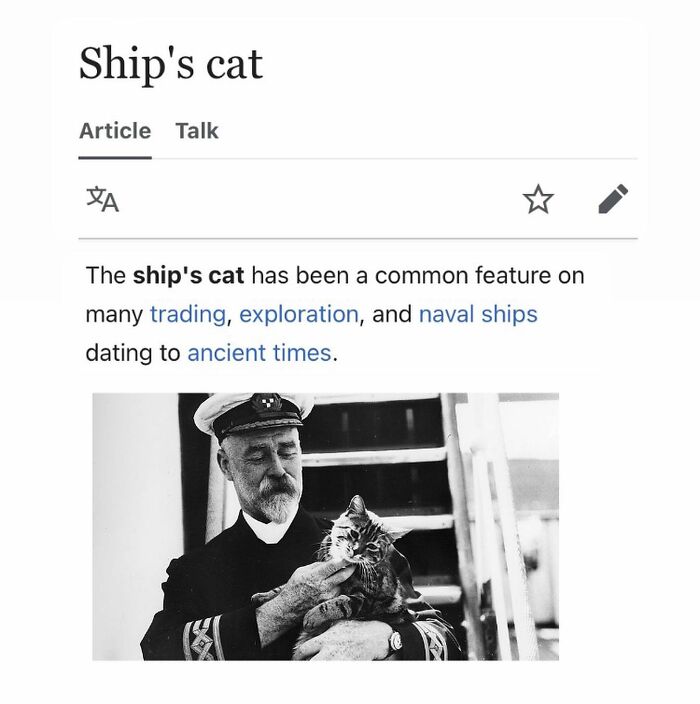 Wait, They Actually Dug Up THESE Wild Animal Facts From Wikipedia?!