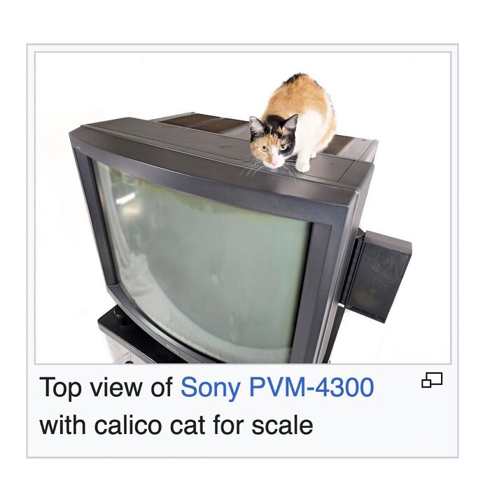 Wait, They Actually Dug Up THESE Wild Animal Facts From Wikipedia?!