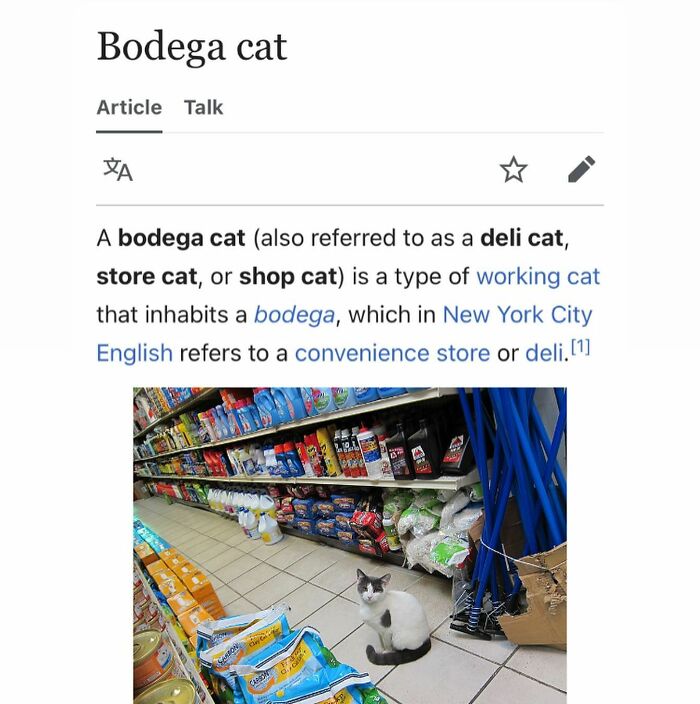 Wait, They Actually Dug Up THESE Wild Animal Facts From Wikipedia?!