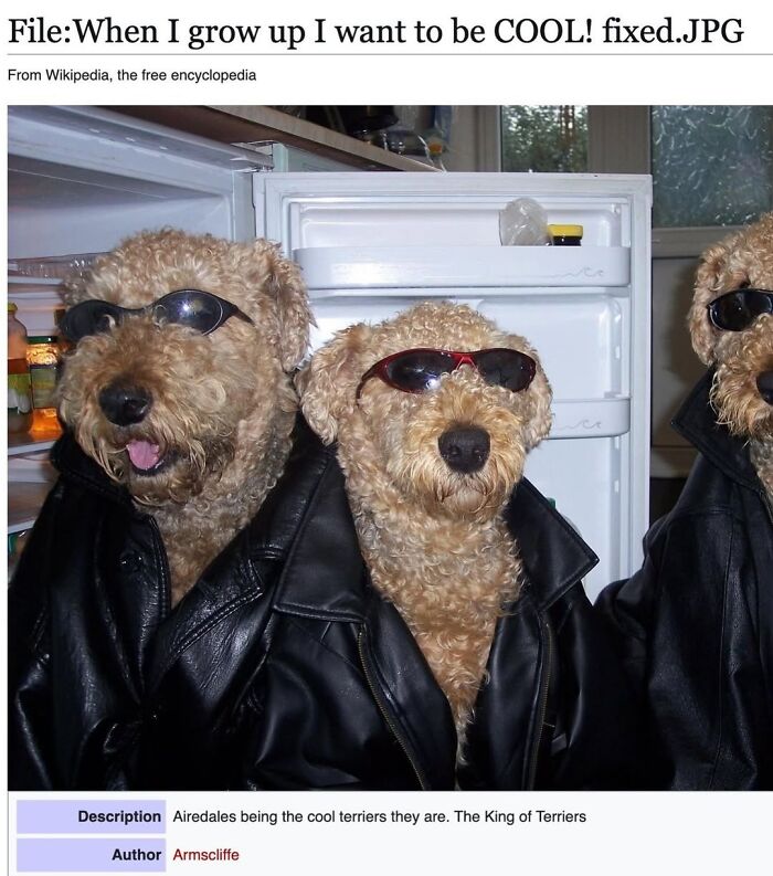 Wait, They Actually Dug Up THESE Wild Animal Facts From Wikipedia?!