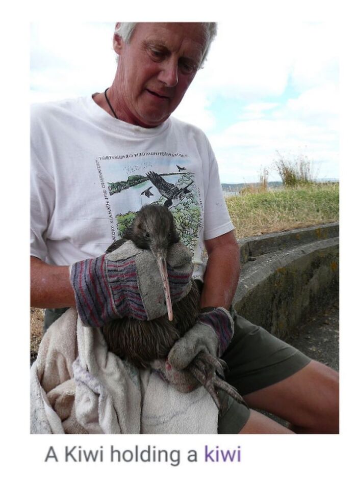 Wait, They Actually Dug Up THESE Wild Animal Facts From Wikipedia?!