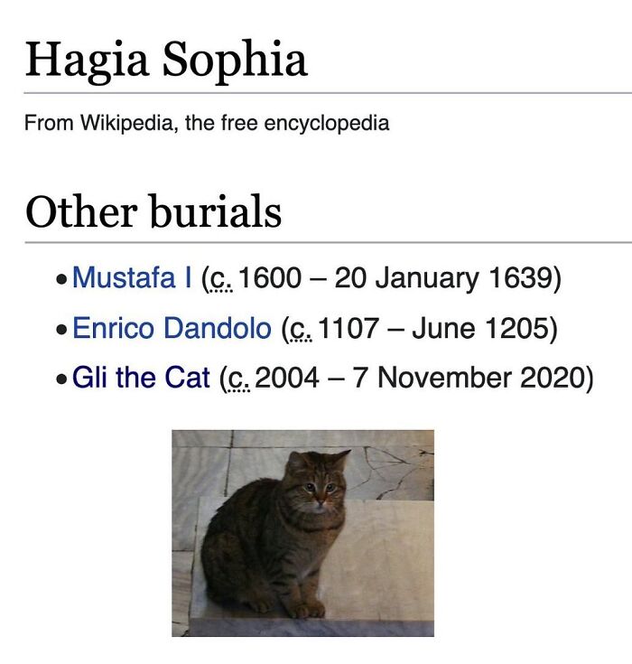 Wait, They Actually Dug Up THESE Wild Animal Facts From Wikipedia?!