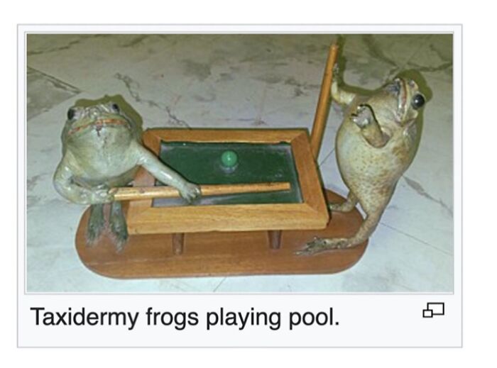 Wait, They Actually Dug Up THESE Wild Animal Facts From Wikipedia?!