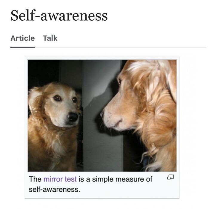 Wait, They Actually Dug Up THESE Wild Animal Facts From Wikipedia?!