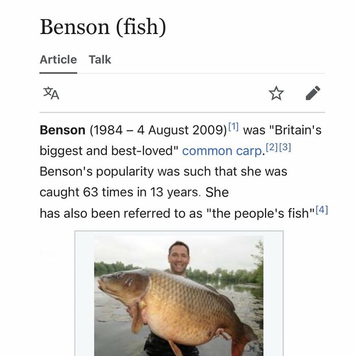 Wait, They Actually Dug Up THESE Wild Animal Facts From Wikipedia?!