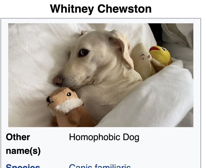 Wait, They Actually Dug Up THESE Wild Animal Facts From Wikipedia?!