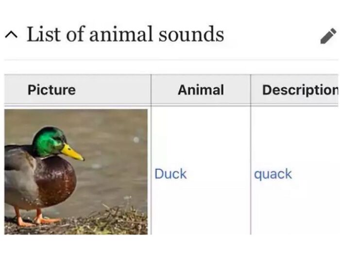 Wait, They Actually Dug Up THESE Wild Animal Facts From Wikipedia?!