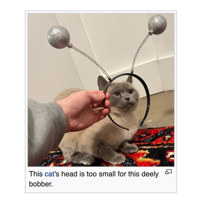 Wait, They Actually Dug Up THESE Wild Animal Facts From Wikipedia?!