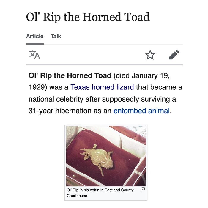 Wait, They Actually Dug Up THESE Wild Animal Facts From Wikipedia?!