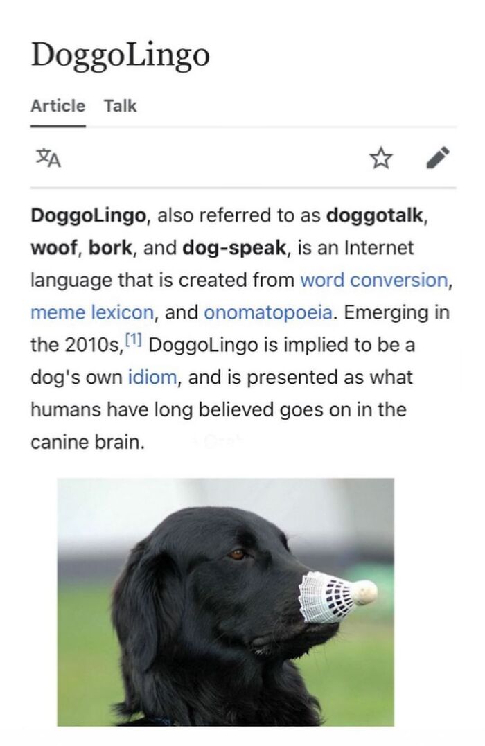 Wait, They Actually Dug Up THESE Wild Animal Facts From Wikipedia?!