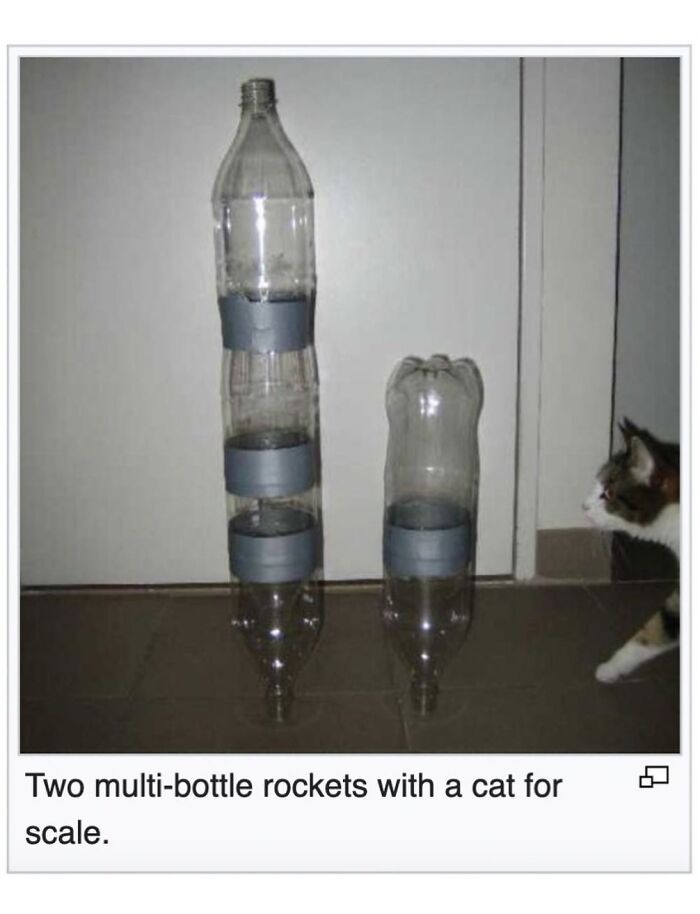 Wait, They Actually Dug Up THESE Wild Animal Facts From Wikipedia?!