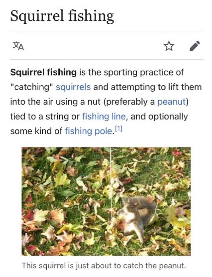 Wait, They Actually Dug Up THESE Wild Animal Facts From Wikipedia?!