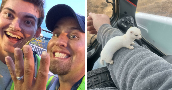 Wait, They Actually Found THIS at Work?! 66 Wild Things People Discovered in the Office