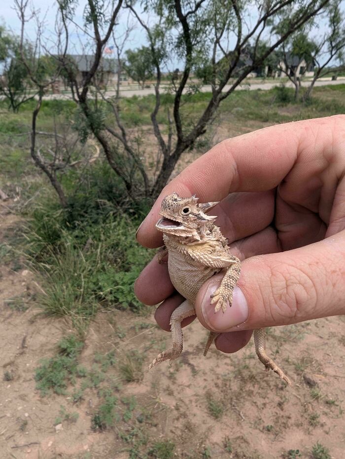Caught This Little Guy Hustling Around at Work—Someone’s Having a Great Monday!