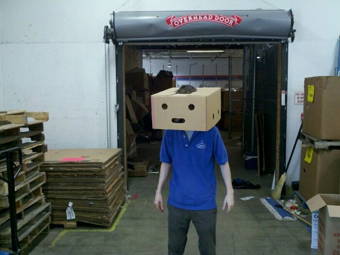 Found This Box at Work. Yep, I Am a Robot Now.