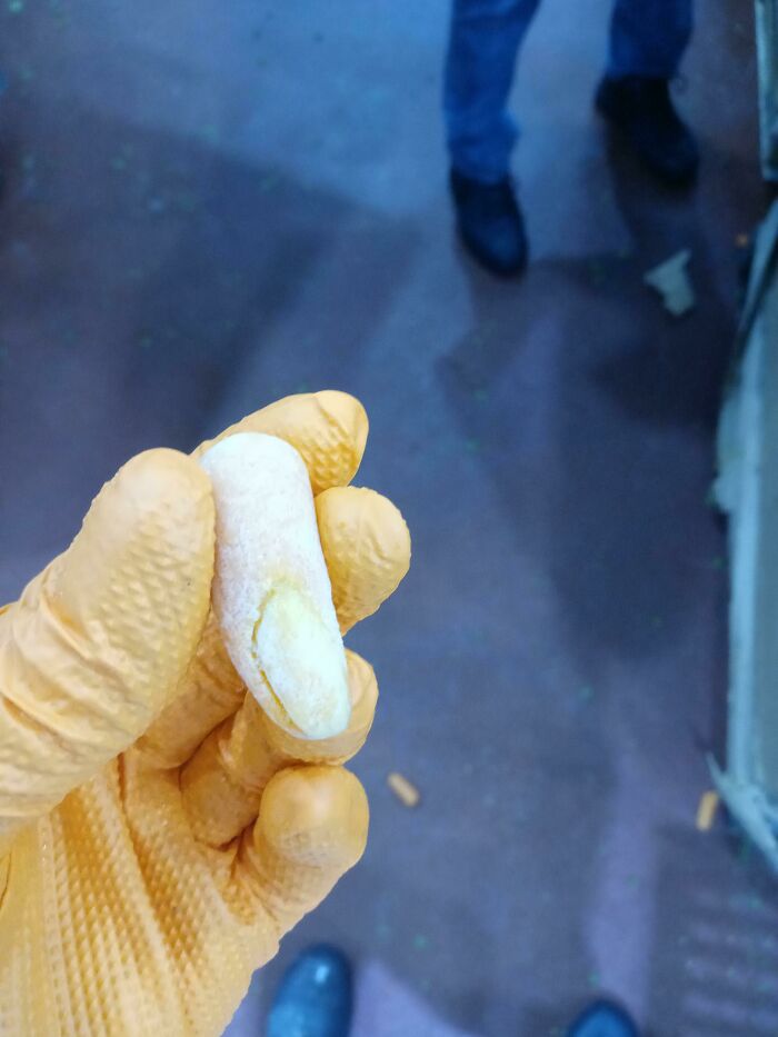 Work in Food Production. We Found a Baby Carrot That Looked Like a Human Finger. Yikes!