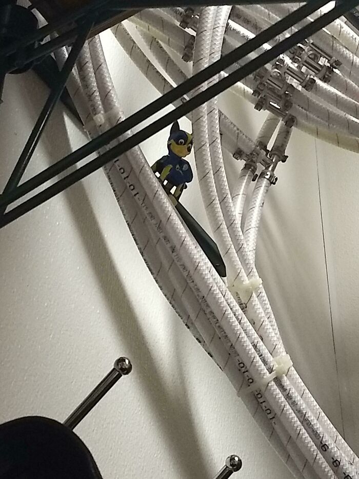 We Keep Finding Random Toys Around Work and It’s Hilarious