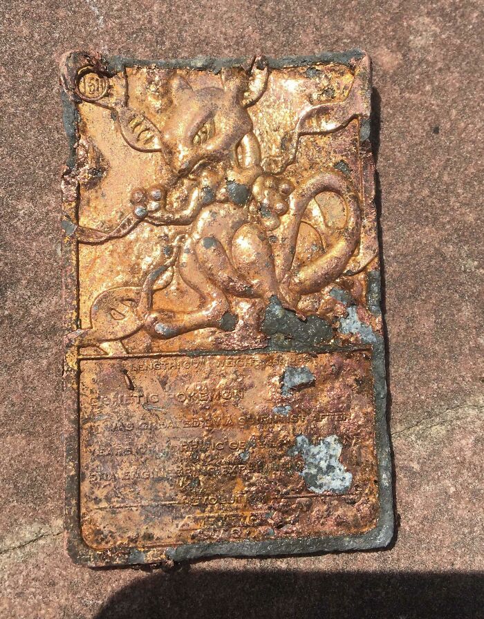 Brother Found This Fossil During Construction Work—Prehistoric Incoming!