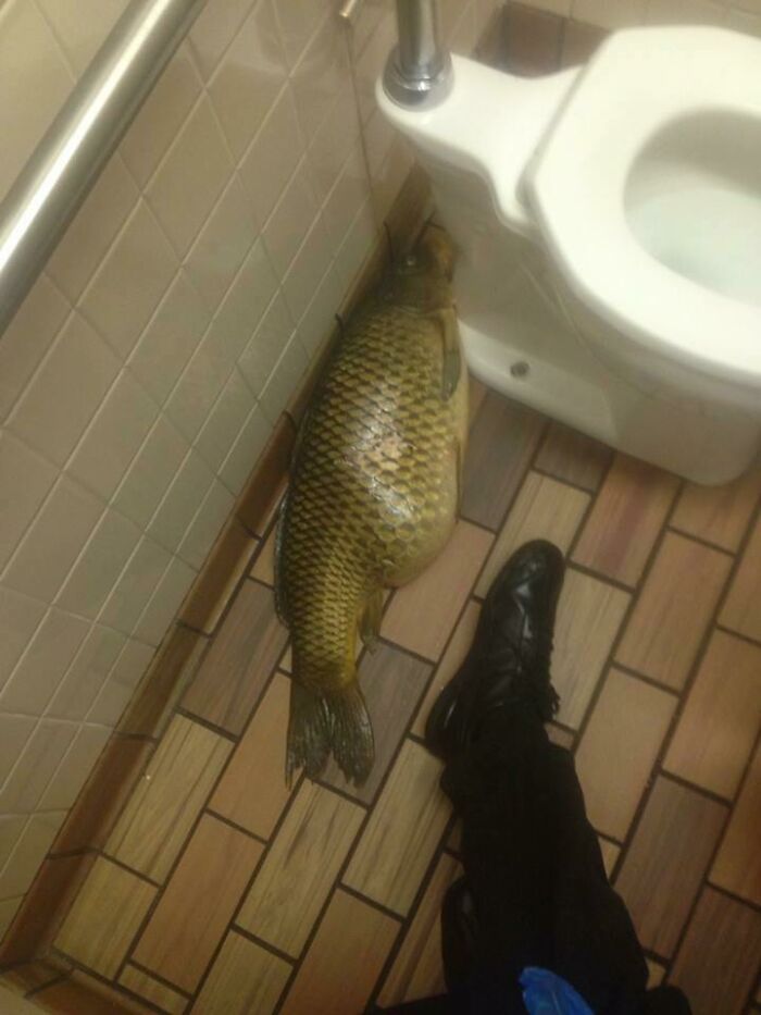 Found This While Working at McDonald’s—Fast Food Surprises!