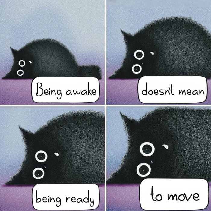 Wait, These Cat Comics Are Too Relatable! (35 Pics You’ll Totally Get)