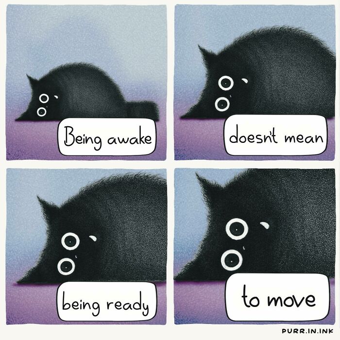 Wait, These Cat Comics Are Too Relatable! (35 Pics You'll Totally Get)